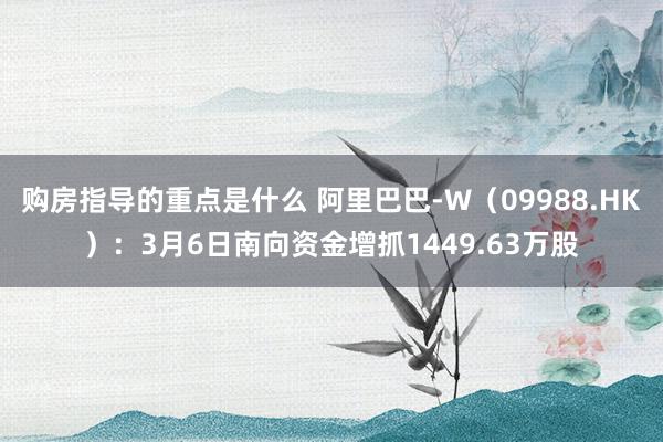 购房指导的重点是什么 阿里巴巴-W（09988.HK）：3月6日南向资金增抓1449.63万股