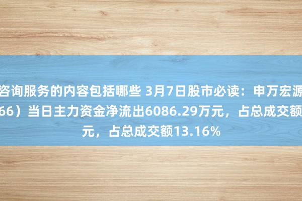 咨询服务的内容包括哪些 3月7日股市必读：申万宏源（000166）当日主力资金净流出6086.29万元，占总成交额13.16%