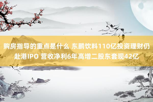 购房指导的重点是什么 东鹏饮料110亿投资理财仍赴港IPO 营收净利6年高增二股东套现42亿